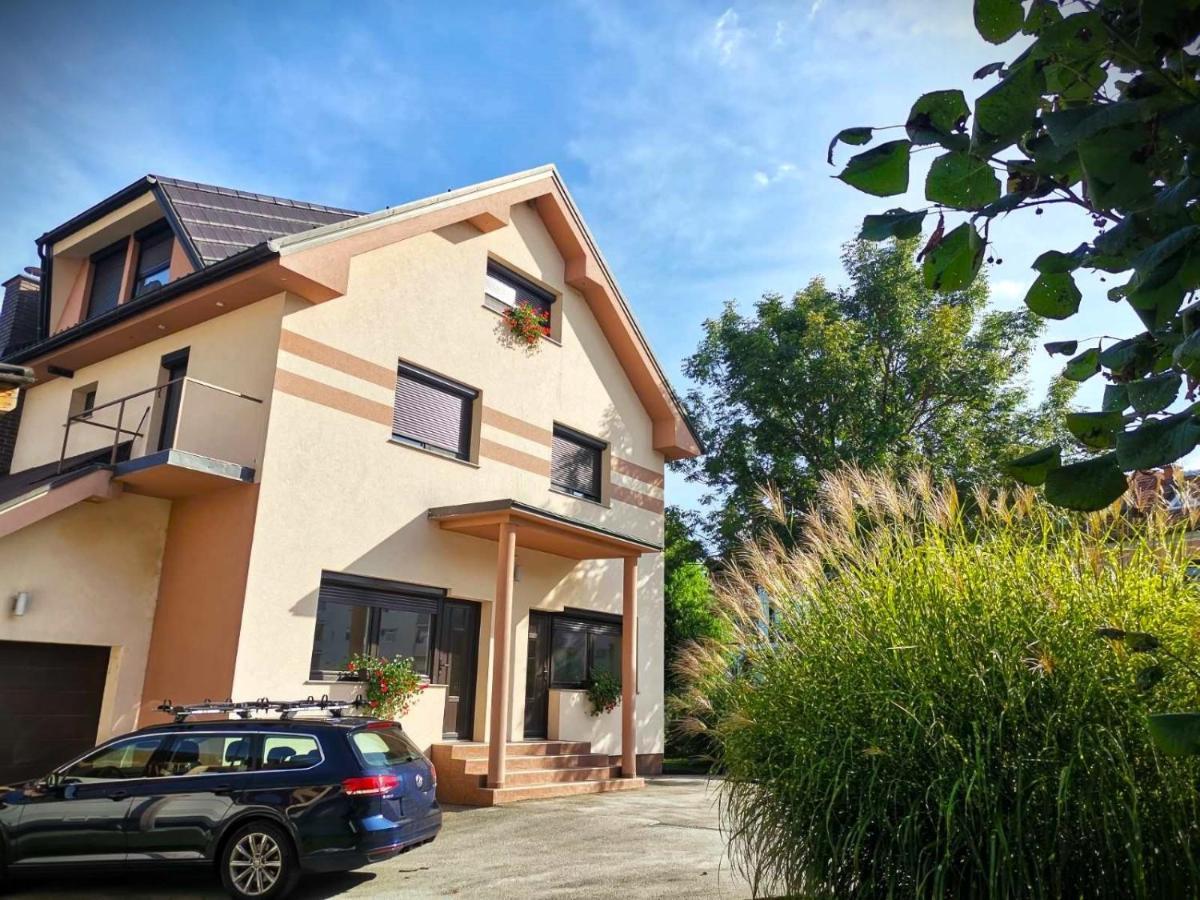Prebold Apartma Vila Tara מראה חיצוני תמונה