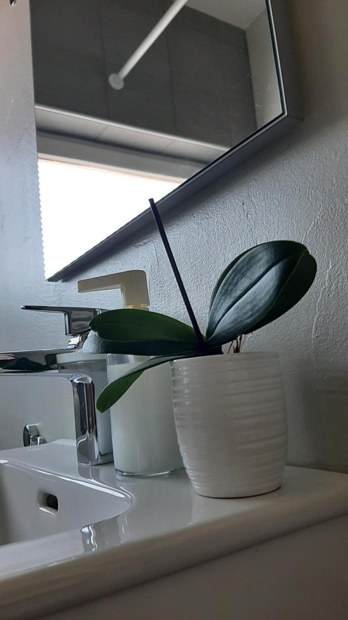 Prebold Apartma Vila Tara מראה חיצוני תמונה